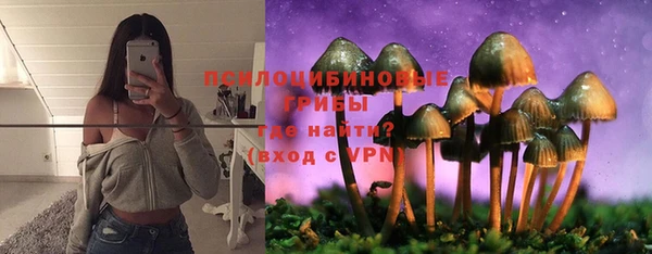 спайс Алексеевка
