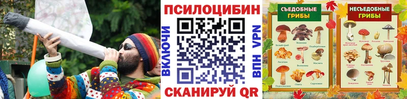 Псилоцибиновые грибы GOLDEN TEACHER  Дыгулыбгей 